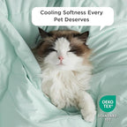 Bedsure Premium Cooling Blanket for Medium Dog - Q-MAX>0.5, Breathable Summer Washable Cold Pet Throw Blanket, Soft Durable Self Cooling Cat Mat for Hot Weather, Turquoise Green, 30x40