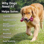Apasiri Dog Toys for Aggressive Chewers with Bacon Flavor: 8" Indestructible Chew Bones for Large Breeds, Tough Nylon & Rubber Dog Toys Keep Them Busy, Interactive Play - 2-Pack