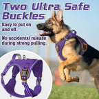 rabbitgoo Tactical Dog Harness for Small Dogs, No Pull Military Service Vest with Handle & Molle, Easy Control for Training Walking, Adjustable Reflective Straps, Purple, S