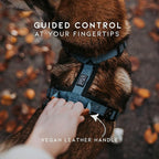 MADE TO ROAM Premium Explorer Harness - Y-Shaped Dog Harness with Adjustable Durable Nylon, Soft Padding, Metal Buckles and Leather Handle for Small, Medium, Large Dogs (Vermont Weekends, Size 4)