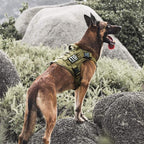 OneTigris Tactical Dog Harness, Full Body Harness with Handle for Large Dog | Heavy Duty Dog Vest for Hiking Training Outdoor Military 1000D Pullable Nylon, Service Vest with Hook & Loop Panels Green L