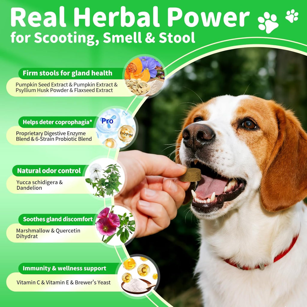 Premium Dog Digestive Enzymes and Probiotics with Pumpkin for Gut Health Support - Daily Chews for Digestion & Gas Relief - Chicken Flavor-90 Count