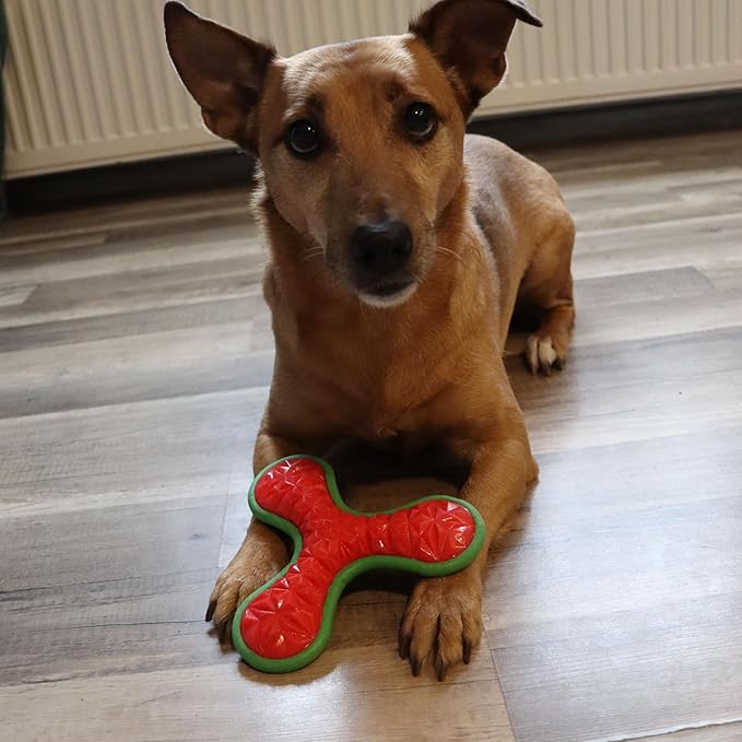Dingo Toy for Dog, Durable TPR Rubber for chewers, Fetch Toy for Play, Boomerang 9.1", 17395 (Bommerang tri)