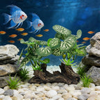Aquarium Driftwood, Natural Fish Tank Decor for Betta, Reptile Hideout & Terrarium Ornament, Type-B