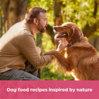 Nature's Recipe Grain Free Salmon, Sweet Potato, and Pumpkin Recipe Wet Dog Food, 13 oz. Can, 12 Count