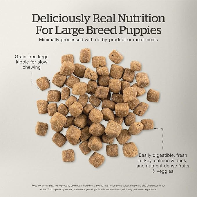 Now Fresh Grain-Free, Dry Dog Food, Real Meat and Fish, Turkey, Salmon and Duck Large Breed Puppy Recipe, 12 lb Bag