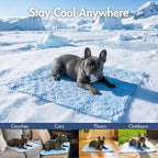 Spark Paws Cooling Mat for Dogs - Self Cooling Dog Mat & Pet Cooling Pad for Large, Medium & Small Dogs - Non-Toxic, Non-Gel Washable Cooling Bed - Hearts Blue - Size XXL
