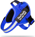 PawPawify Custom No Pull Dog Harness with Name and Phone Number, Heavy Duty Personalized Pet Vest to Prevent Tugging, Pulling, or Choking, Training and Walking (New Blue, XS (5-9LBS))