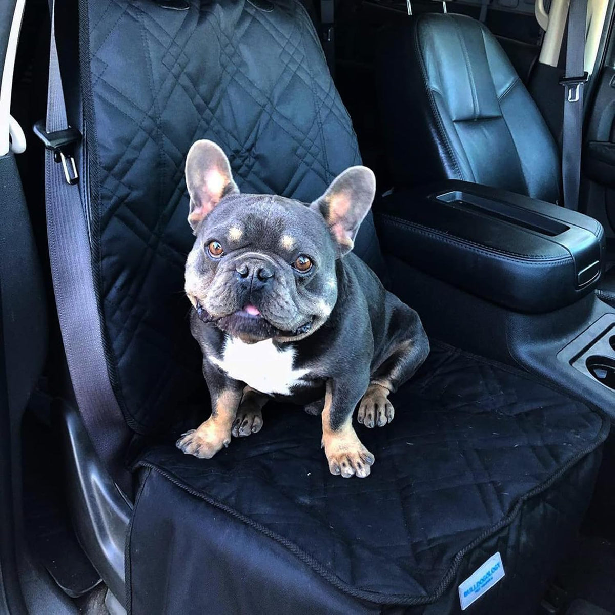 Bulldogology Front Car Seat Covers for Dogs - Heavy Duty Dog Seat Cover for Cars, Trucks, Vans, and SUVs - 100% Waterproof Front Seat Dog Cover - Passenger Dog Car Seat Cover for Front Seat (Black)