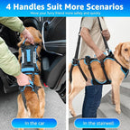Dog Lift Harness for Large Male Dogs, 2-in-1 Detachable Support Harness, Full Body Carrying with 4 Handles, Dog Sling for Large Dogs Hind Leg Support(Black, X-Large)