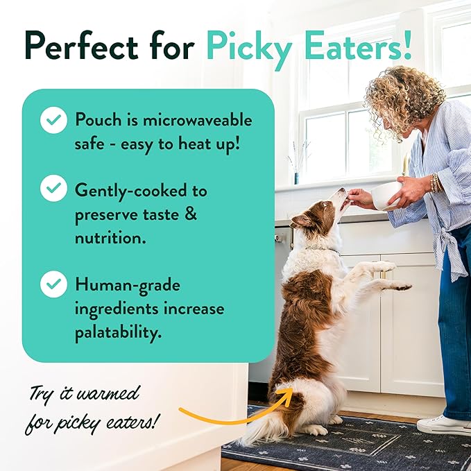 Portland Pet Food Company Fresh Dog Food Pouches - Human-Grade Topper Mix-Ins & Wet Pet Meals - Small & Large Breed Puppy & Senior Dogs - Gluten-Free Meal Toppers, Made in The USA - 5 Pack Variety