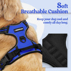 rabbitgoo Dog Harness No Pull with 2 Leash Clips, Adjustable Soft Padded, Reflective Oxford No Choke Pet Vest with Easy Control Handle for Small Dogs, Dazzling Blue, S