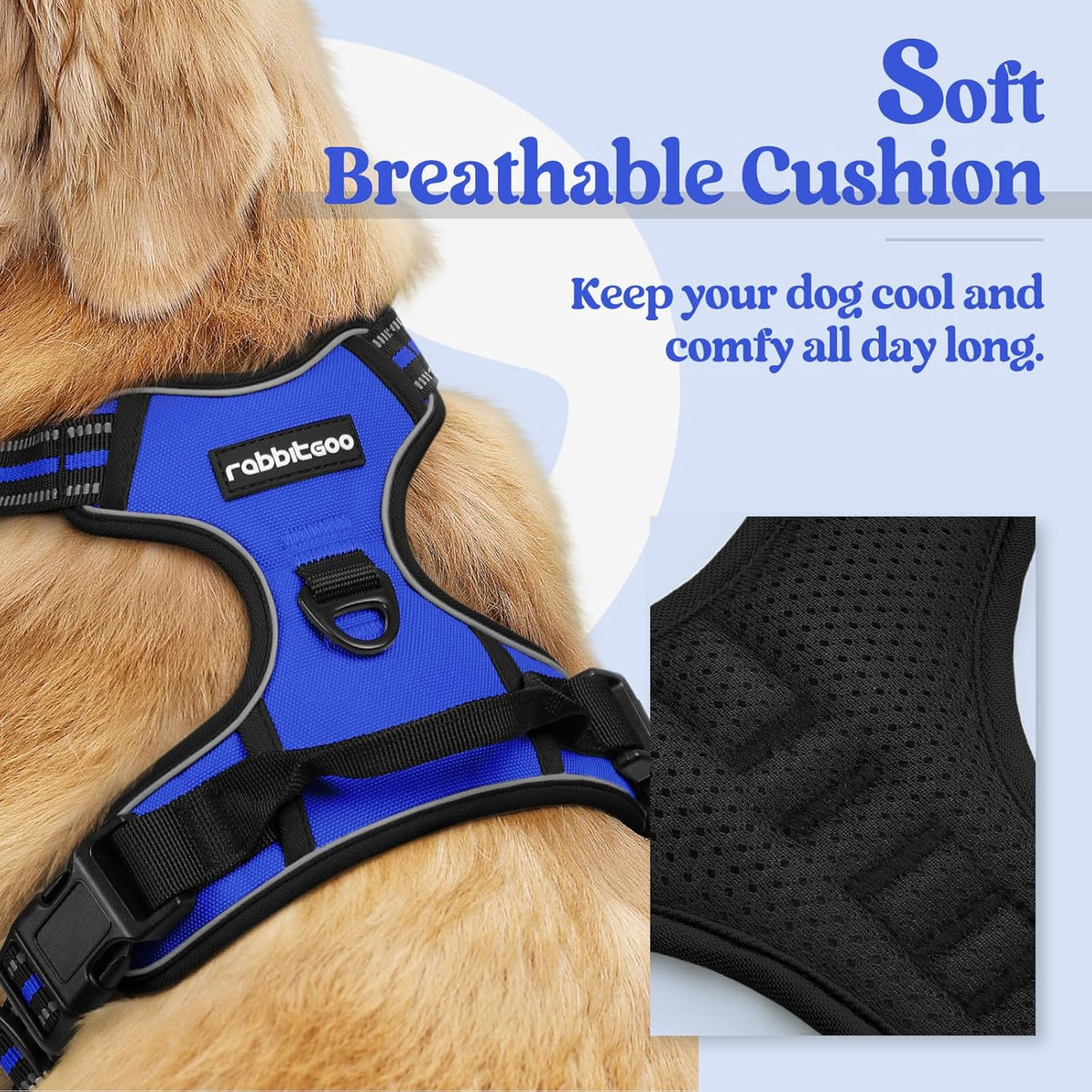 rabbitgoo Dog Harness No Pull with 2 Leash Clips, Adjustable Soft Padded, Reflective Oxford No Choke Pet Vest with Easy Control Handle for Small Dogs, Dazzling Blue, S