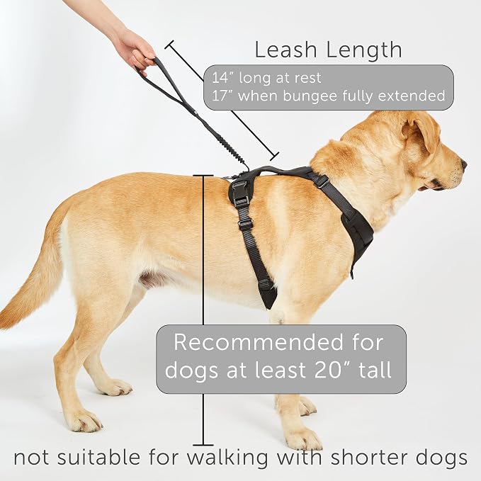 TUG Grab Dog Harness with Built-in Magnetic Traffic Leash (XL/Black) | Padded Magnetic Traffic Handle | Dual Leash Clips | 4-Point Adjustable Fit | Durable Nylon