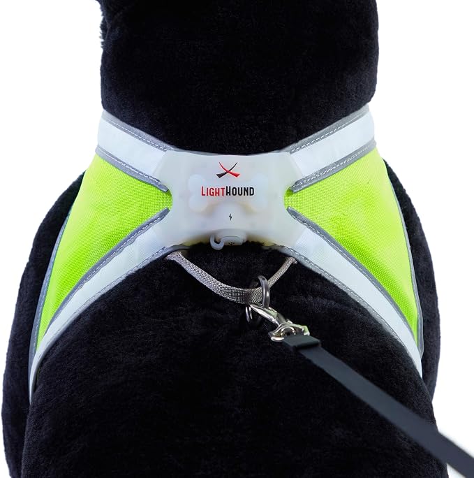 noxgear LightHound Light Up Reflective Dog Harness, Large | 360° Light Up Reflective Dog Harness, 8 Colors & 6 Modes, USB Rechargeable, Adjustable, Rainproof, LED Fiber Optic