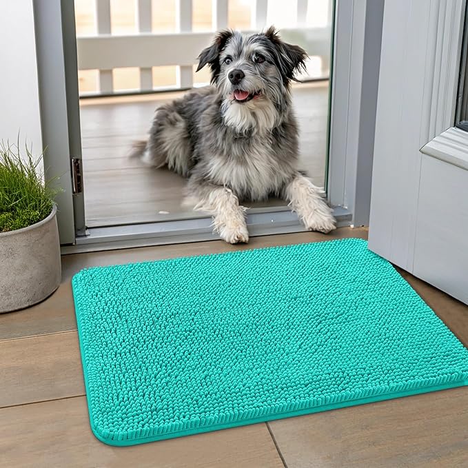 Smiry Dog Door Mat for Muddy Paws 24x16, Absorbs Moisture and Dirt Doormat, Non-Slip Washable Quick Dry Chenille Front Door Mat Indoor Entrance, Entryway Carpet for Inside Floor, Teal
