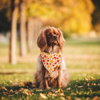 Fall Dog Bandanas - 2 Pack Halloween Thanksgiving Dog Bandana | Reversible Pumpkin and Leaf Pet Scarf for Boy & Girl | Premium Durable Fabric | Holiday Bandana for Small and Medium Dogs (Small)