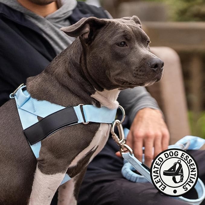 Dog Friendly Co. Dog Harness for Medium Dogs (Sky Blue, Medium) | One Click Buckle, Chafe Resistant Webbing, Adjustable Neck & Chest, and Heavy Duty D-Ring, Sturdy Comfortable and Easy to Use