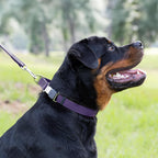 Dogline Biothane Waterproof Dog Collar with Herm Sprenger Stainless Steel Quick Release Buckle – Heavy Duty Tactical Durable Collar for Dogs – Comfortable and Safe Pet Collar, W 1" L 15-25", Purple