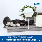Barkbox Orthopedic Dog Bed with Memory Foam, Premium Comfort for Dogs and Puppies, Large Sized Dog Bed for Joint Relief and Restful Sleep, Durable and Easy to Clean - Grey, Large