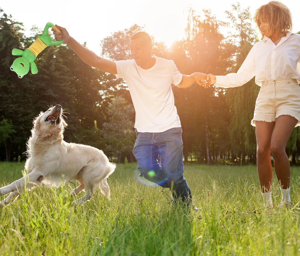 Dog Squeak Toys Durable Plush Dog Toy with Crinkle Paper, Tug of War Pull Toys for Puppies, Interactive Dog Chew Toys for Small, Medium and Large Dogs