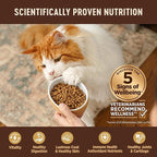 Wellness CORE Grain-Free Kitten Formula Dry Cat Food, 5 Pound Bag (Pack of 2)