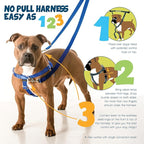 2 Hounds Design Freedom No Pull Dog Harness, 1 inch MD, Rust | Discourages Pulling, Comfortable Control Adjustable Dog Harness for Medium Sized Dogs, Made in USA (Leash Not Included)