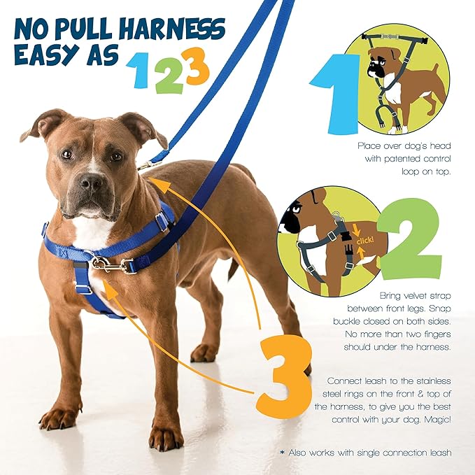 2 Hounds Design Freedom No Pull Dog Harness, 1 inch MD, Rust | Discourages Pulling, Comfortable Control Adjustable Dog Harness for Medium Sized Dogs, Made in USA (Leash Not Included)