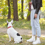 Dogline Biothane Waterproof Dog Leash Strong Coated Nylon Webbing with Black Hardware Odor-Proof Easy to Clean High Performance for Small or Large Dogs Made in USA 4 or 6 ft Lead, Merlot Burgundy