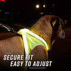noxgear LightHound Light Up Reflective Dog Harness and Leash, X-Large | 360° Light Up Reflective Dog Harness, 8 Colors & 6 Modes, USB Rechargeable, Adjustable, Rainproof, LED Fiber Optic