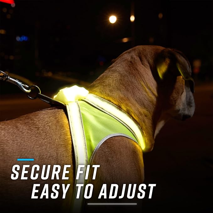 noxgear LightHound Light Up Reflective Dog Harness and Leash, Large | 360° Light Up Reflective Dog Harness, 8 Colors & 6 Modes, USB Rechargeable, Adjustable, Rainproof, LED Fiber Optic