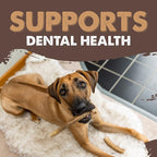 Mighty Paw Split Elk Antlers for Dogs (Sourced in The USA) | 2 Whole Medium 6"+ Long Lasting Bones for Aggressive Chewers - Naturally Shed Split Deer Antler for Dogs - Low Odor Chews (Pack of 2)