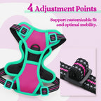 rabbitgoo Dog Harness No Pull with 2 Leash Clips, Adjustable Soft Padded, Reflective Oxford No Choke Pet Vest with Easy Control Handle for Large Dogs, Hot Pink & Turquoise, XS
