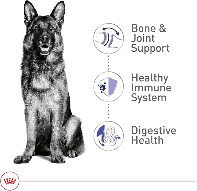 Royal Canin Size Health Nutrition Large Adult Dry Dog Food, 4 lb Bag