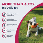 Pet Lou 8 Inch Carrot Plush Dog Toy for Soft Chewers – Durable Squeaky & Crinkle, Anti Boredom Chew Toy for Dogs, Cute Soft Stuffed Calming Indoor Pet Toy for All Dog Breeds