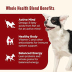 Nutrish Real Beef & Pumpkin Recipe Whole Health Blend Premium Paté Wet Dog Food, 13 oz. Can, 12 Count, Packaging May Vary (Rachael Ray)