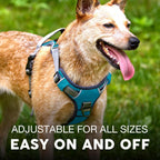 Embark Adventure Dog Harness, Reflective Trim XL Dog Harness for Extra Large Dogs No Pull - Military Grade Nylon, 2 Leash Clips & Gel Lined Handle. Soft & Padded Puppy