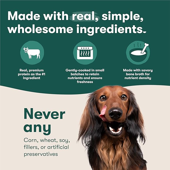 Jinx Beef Grain Free Wet Dog Food Pouches, Meal or Dog Food Topper Mix-in, Made with Real Beef & Chicken, Bone Broth, No Fillers - Puppy, Adult, Senior, 9oz, 6 Pack