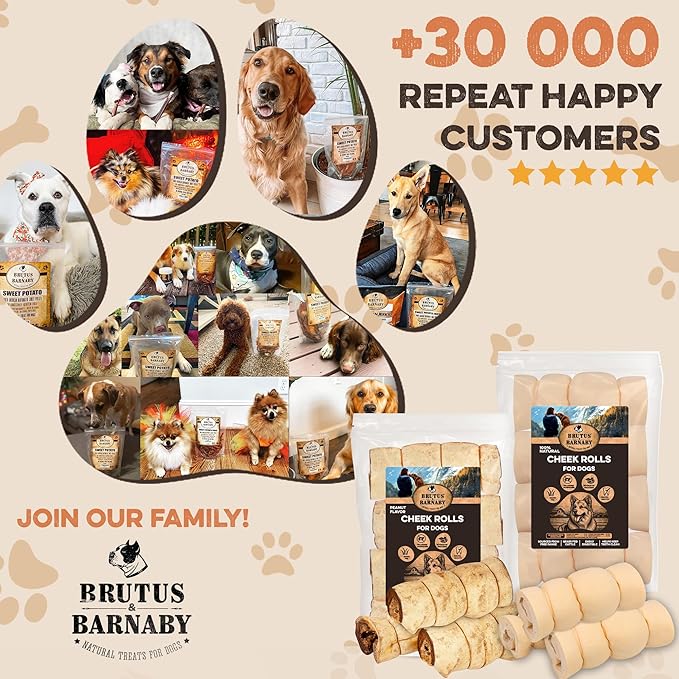 Premium Beef Cheek Rolls for Dogs 5-7" - (3-Pack), Peanut Butter Flavored Long Lasting, Safe & Natural Rawhide Alternative Chews, Ideal for Large Dogs & Aggressive Chewers, Supports Dental Health