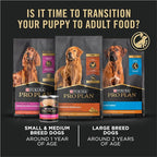 Purina Pro Plan High Protein Puppy Food DHA Lamb & Rice Formula - 18 lb. Bag