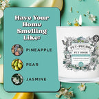 Pet-Pourri Pawsitively Fresh Pet Odor Deodorizer Candle, Burns Up to 45 Hours, Aromatherapy & Air Freshener with Essential Oils, Plant Based Ingredients & Wax, Vet Approved, Jasmine Pear Scent