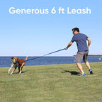 Pawtitas 6 FT Recycled Dog Leash with Reflective Stitched Thread Stitched on Side| Small Reflective Dog Leash Made from Plastic Bottles Collected from Oceans – Teal 6 ft Dog Leash