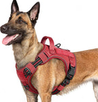 rabbitgoo Dog Harness for Large Dogs No Pull, Tactical Service Pet Vest with Molle and Control Handle, Adjustable and Reflective Military Harness for Easy Walking and Training, Red, L