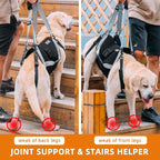 Dog Lift Harness for Large Dogs,Full Body Dog Sling Carrier, Blue, XL | Help Support Big, Elderly Pet with Arthritis, Front/Rear Legs Assistance with Handle, for Lifting Injured Dogs Up Stairs