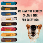 Pawsitive Hemp Dog Collar - Super Soft Hypoallergenic Lining. Great for Small, Medium and Large Dogs; Large Natural