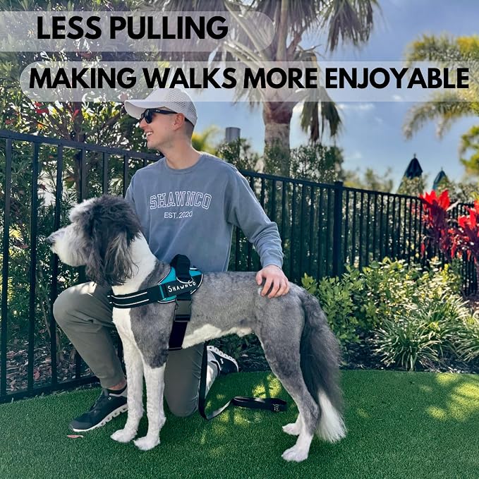 ShawnCo Essential Pro Dog Harness, No-Pull Pet Vest with 3 Leash Clips and Removable, Reflective Side Patches, Adjustable and Padded Harness for Small, Medium and Large Dogs (ICY Lilac, M)