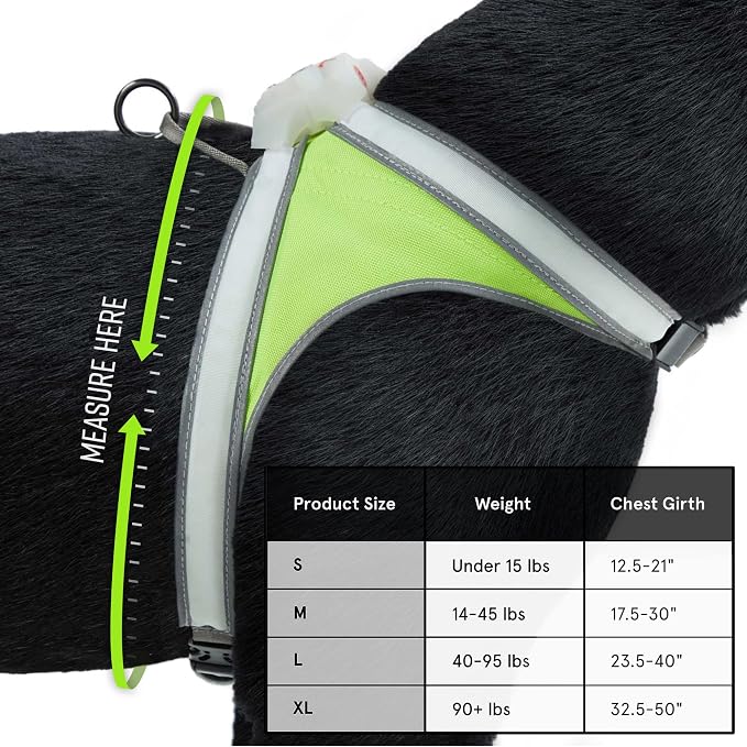 noxgear LightHound Light Up Reflective Dog Harness and Wrist Light, Medium | 360° Light Up Reflective Dog Harness, 8 Colors & 6 Modes, USB Rechargeable, Adjustable, Rainproof, LED Fiber Optic