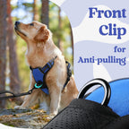 rabbitgoo Dog Harness for Large, No Pull Pet Harness with 3 Buckles, Adjustable Soft Padded Vest with Control Handle, Walking Reflective Pet Vest for Extra Large Dogs, Blue, XL