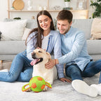 ALL FOR PAWS Dog Ball with Handles, Dog Toy with Squeaker, Interactive Tug of War Ball Toy for Small and Medium Dogs, 12.6 x 5.9 x 5.9 Inch
