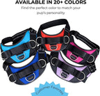 ShawnCo Essential Dog Harness, No-Pull Pet Vest (Military Camo,XS) | 3 Leash Clips, Easy On, No-Choke, Reflective, Adjustable Fit, Padded Comfort, Control Handle, For Small, Medium & Large Dogs